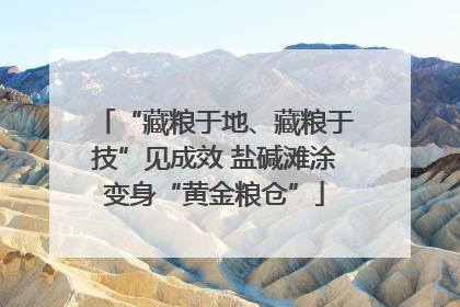 “藏粮于地、藏粮于技”见成效 盐碱滩涂变身“黄金粮仓”