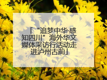 “追梦中华·感知四川”海外华文媒体采访行活动走进泸州古蔺