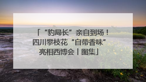 “豹局长”亲自到场！四川攀枝花“自带香味”亮相西博会丨图集