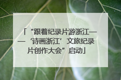 “跟着纪录片游浙江——‘诗画浙江’文旅纪录片创作大会”启动