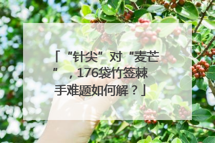“针尖”对“麦芒”，176袋竹签棘手难题如何解？
