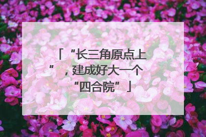 “长三角原点上”，建成好大一个“四合院”