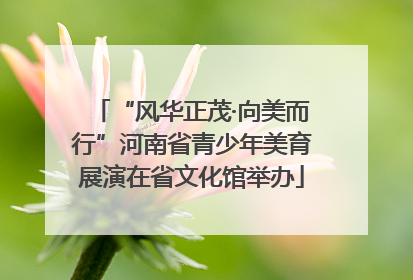“风华正茂·向美而行”河南省青少年美育展演在省文化馆举办