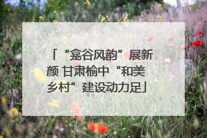“龛谷风韵”展新颜 甘肃榆中“和美乡村”建设动力足