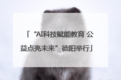 “AI科技赋能教育 公益点亮未来”德阳举行