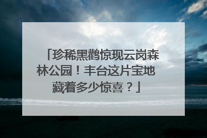 珍稀黑鹳惊现云岗森林公园！丰台这片宝地藏着多少惊喜？