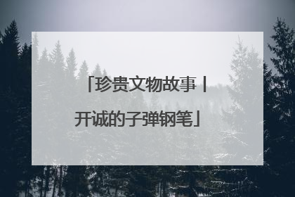 珍贵文物故事丨开诚的子弹钢笔