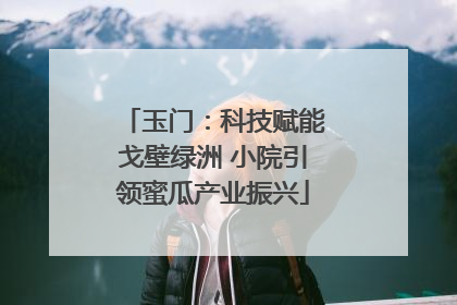 玉门：科技赋能戈壁绿洲 小院引领蜜瓜产业振兴