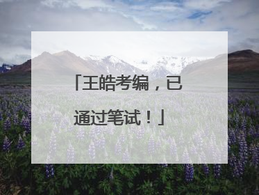 王皓考编，已通过笔试！