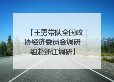 王勇带队全国政协经济委员会调研组赴浙江调研