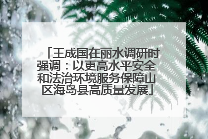王成国在丽水调研时强调：以更高水平安全和法治环境服务保障山区海岛县高质量发展