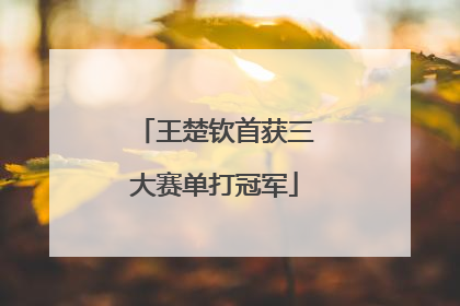 王楚钦首获三大赛单打冠军