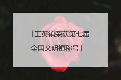 王英镇荣获第七届全国文明镇称号
