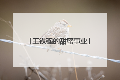 王铁强的甜蜜事业
