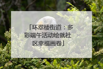 环翠楼街道：多彩端午活动绘就社区幸福画卷