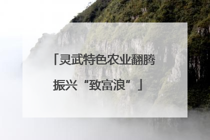 灵武特色农业翻腾振兴“致富浪”