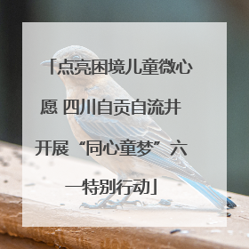 点亮困境儿童微心愿 四川自贡自流井开展“同心童梦”六一特别行动