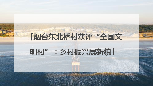烟台东北桥村获评“全国文明村”：乡村振兴展新貌