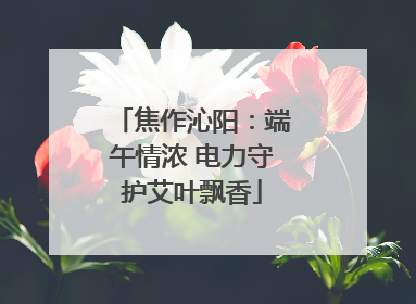焦作沁阳：端午情浓 电力守护艾叶飘香