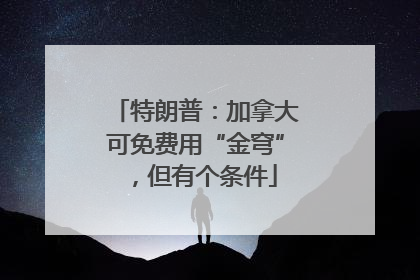 特朗普：加拿大可免费用“金穹”，但有个条件