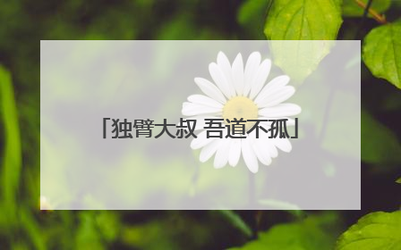 独臂大叔 吾道不孤