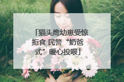 猫头鹰幼崽受惊拒食 民警“奶爸式”暖心投喂