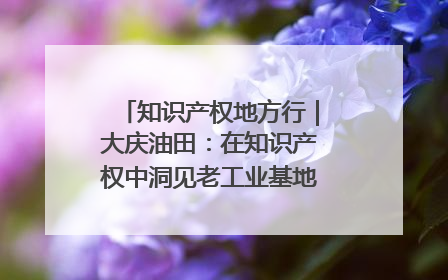 知识产权地方行｜大庆油田：在知识产权中洞见老工业基地的 “创新密码”