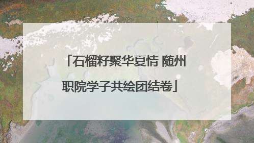 石榴籽聚华夏情 随州职院学子共绘团结卷