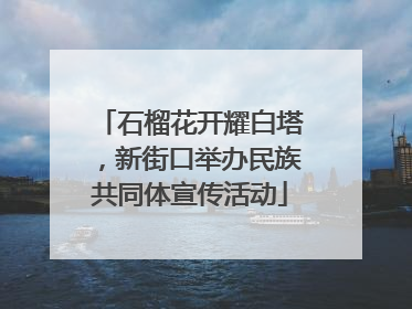 石榴花开耀白塔，新街口举办民族共同体宣传活动