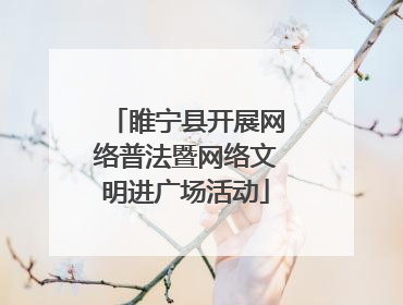 睢宁县开展网络普法暨网络文明进广场活动