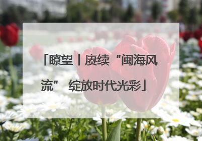 瞭望丨赓续“闽海风流” 绽放时代光彩