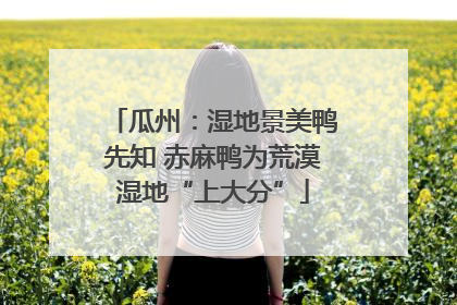 瓜州：湿地景美鸭先知 赤麻鸭为荒漠湿地“上大分”