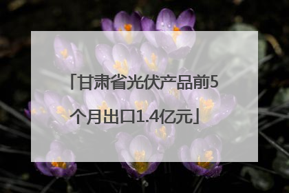 甘肃省光伏产品前5个月出口1.4亿元