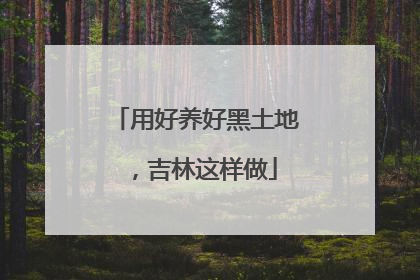 用好养好黑土地，吉林这样做
