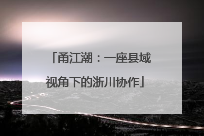 甬江潮：一座县域视角下的浙川协作