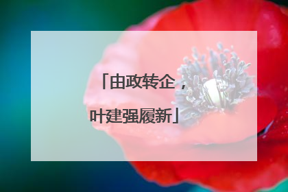 由政转企，叶建强履新