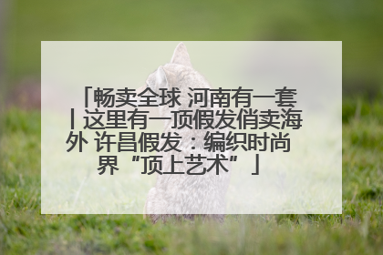 畅卖全球 河南有一套丨这里有一顶假发俏卖海外 许昌假发：编织时尚界“顶上艺术”