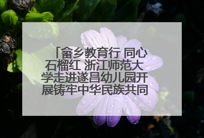 畲乡教育行 同心石榴红 浙江师范大学走进遂昌幼儿园开展铸牢中华民族共同体意识教育