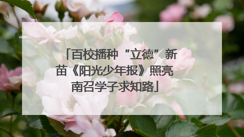 百校播种“立德”新苗《阳光少年报》照亮南召学子求知路