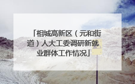 相城高新区（元和街道）人大工委调研新就业群体工作情况