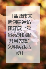 盐城市文明创建巡访团开展“党员亮身份服务当先锋”文明实践活动