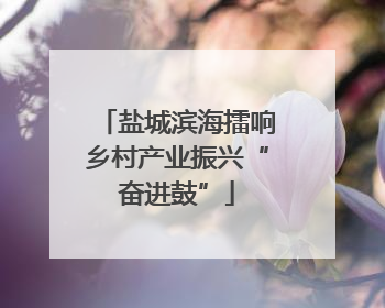 盐城滨海擂响乡村产业振兴“奋进鼓”