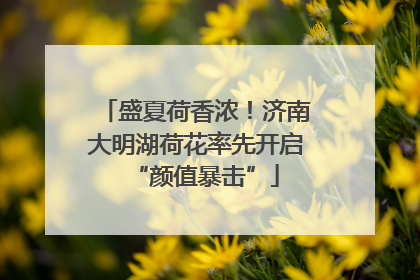 盛夏荷香浓！济南大明湖荷花率先开启“颜值暴击”