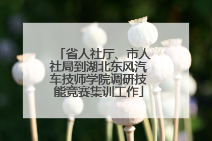 省人社厅、市人社局到湖北东风汽车技师学院调研技能竞赛集训工作