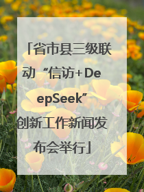 省市县三级联动“信访+DeepSeek”创新工作新闻发布会举行