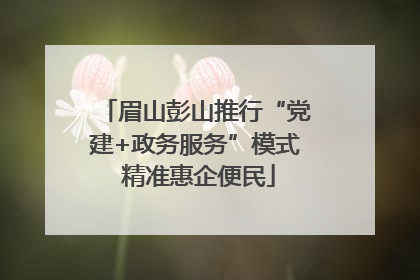眉山彭山推行“党建+政务服务”模式 精准惠企便民