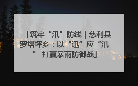 筑牢“汛”防线｜慈利县罗塔坪乡：以“迅”应“汛” 打赢暴雨防御战