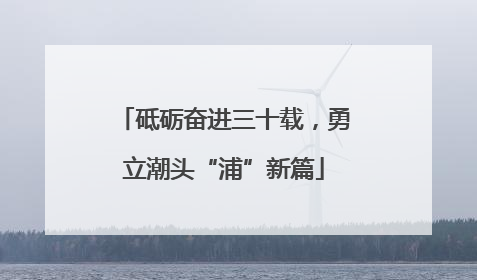 砥砺奋进三十载，勇立潮头“浦”新篇