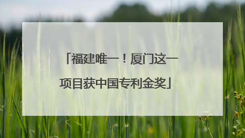 福建唯一！厦门这一项目获中国专利金奖