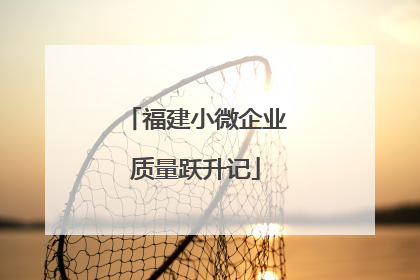 福建小微企业质量跃升记